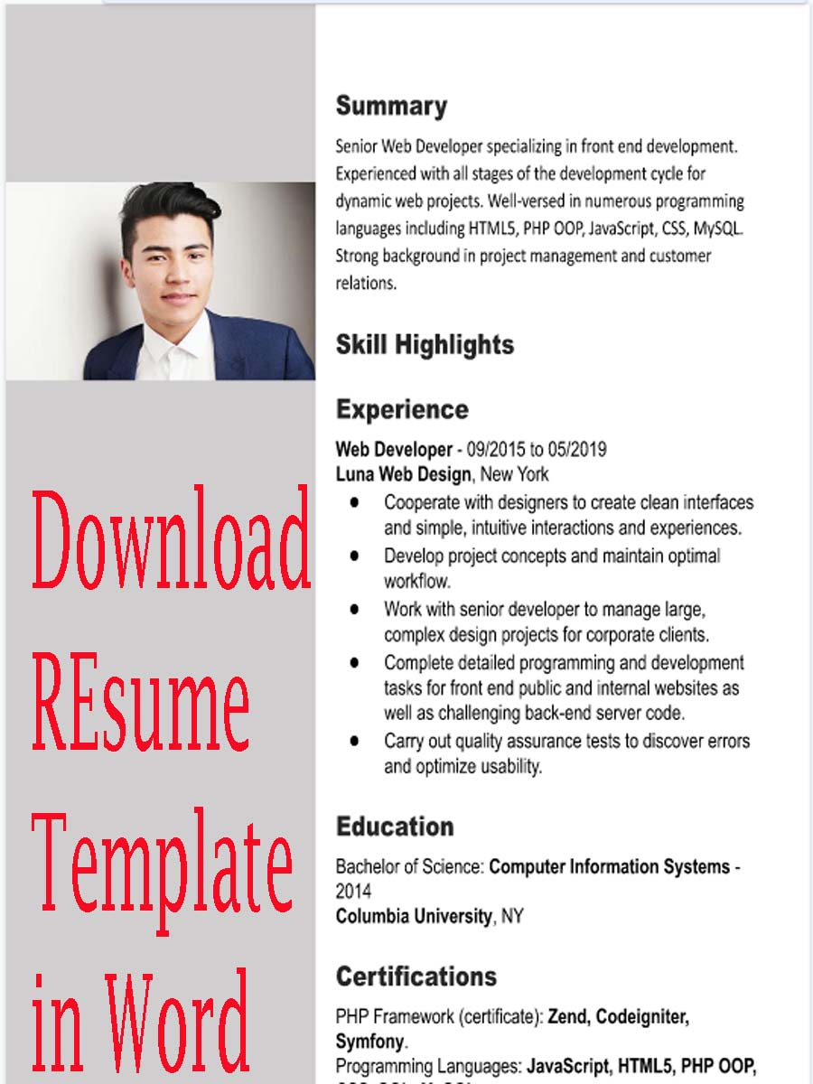 2024 Resume Templates Free Download Nona Thalia